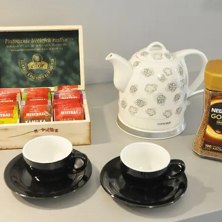 Apartament Modern & Historic *